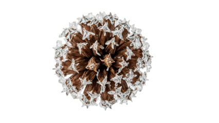 Closeup of frosted pine cone with decorative ice crystalson the transparent background for winter and christmas themes