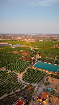Drone video shows lush green agricultural fields with neatly arranged crops, irrigation ponds, and farm buildings under golden hour sunlight in rural Spain.