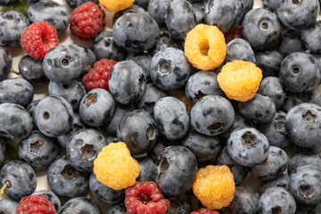 Blueberry and raspberry is tasty, healthy and delicious fruits. Background from fresh blueberries with red and yellow raspberries