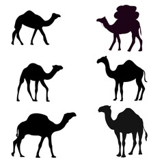 Naklejka premium Camel Silhouette Set.Camel Vector.
