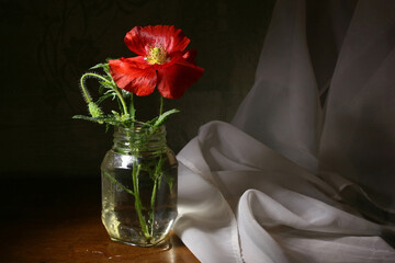 Flower still life with poppy