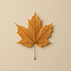 Maple leaf with warm brown color isolated on beige background, showing detailed veins and natural texture