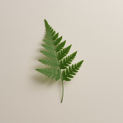 Green fern leaf isolated on beige background with soft shadow and natural texture