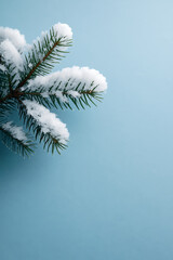 Snow covered pine branch with green needles on blue background creating calm winter atmosphere