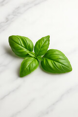 Fresh green basil leaf with smooth texture on white marble surface, evoking natural freshness and culinary delight