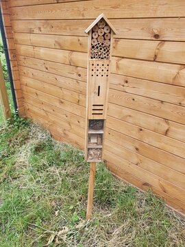binen haus insekten