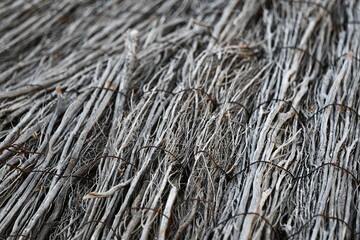 Colmo, chapéu de palha, guarda, guarda-sol