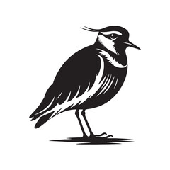 Elegant Lapwing Bird Vector Silhouette Artwork Featuring Graceful Crest and Distinctive Wing Patterns, Perfect for Nature-Inspired Designs, Wildlife Illustrations, Ornithology Projects, and Artistic D