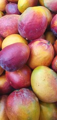 A large pile of Fresh Mangoes is displayed at a local market. An abundant harvest of fresh, healthy vegetables. Natural background.