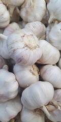 A background from pile of fresh garlic bulbs with natural white and purple hues, perfect for culinary, health, and agricultural uses.
