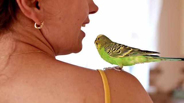 young woman interacts and speaks softly with her green budgerigar sitting comfortably on her shoulder, showing a close bond between pet and owner