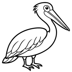 Pelican line art vector
