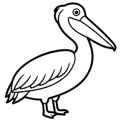 Pelican line art vector