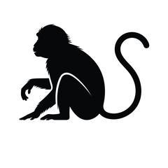 Silhouette of a monkey sitting with its tail curled © MDANTOR