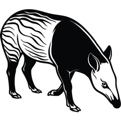 Fototapeta premium Vector art of tapir animal walking in forest isolated on white background