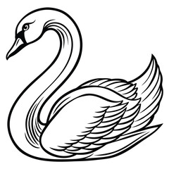 Fototapeta premium Vector art of elegant swan illustration isolated on white background