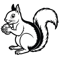 Vector art of a black and white illustration of a squirrel holding a nut isolated on white background