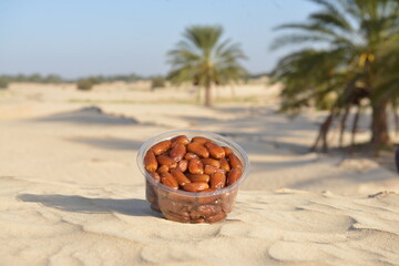 Fresh Dates in a Plastic Container on Desert Sand with Palm Trees in Background