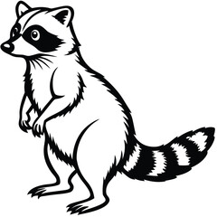 Obraz premium Vector art of black and white illustration of a raccoon standing on its hind legs, isolated on white background