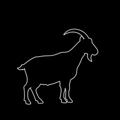 Minimalist white outline of a goat. Simple line icon of a farm animal on a black background. Vector illustration concept.