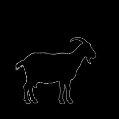 Silhouette of a goat with horns and a beard standing on a black background, rendered in a white outline.