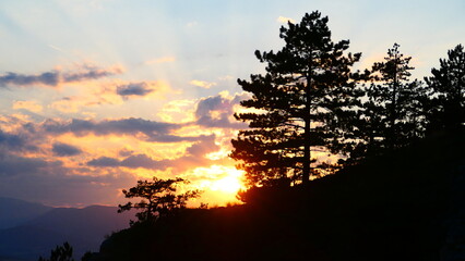 Fototapeta premium Baumsilhouetten in der Abendsonne im Naturpark Türkensturz, Bucklige Welt