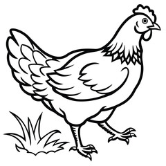 Obraz premium Vector art of a black and white line drawing of a hen standing in grass, isolated on white background