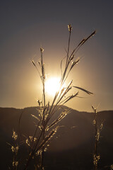pôr do sol na cidade Cavalcante, Estado de Goiás, Brasil, região da chapada dos veadeiros