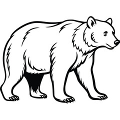 Obraz premium Vector art of black and white illustration of a grizzly bear walking, isolated on white background
