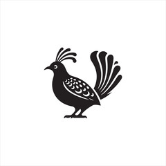Fototapeta premium Elegant Lyrebird Bird Vector Silhouette Illustration Featuring Long Flowing Tail Feathers, Detailed Avian Shape, Perfect for Wildlife Art, Nature Designs, Logos, and Ornamental Decorative Graphic Proj