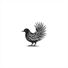 Elegant Lyrebird Bird Vector Silhouette Illustration Featuring Long Flowing Tail Feathers, Detailed Avian Shape, Perfect for Wildlife Art, Nature Designs, Logos, and Ornamental Decorative Graphic Proj