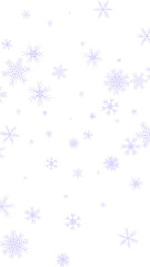 Violet snowflakes falling on a transparent background.