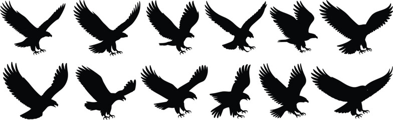 Eagle silhouette vector, flying bird poses, wildlife illustration, black and white art,  nature design element, majestic © SHOJEB