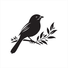"Elegant Paradise Tanager Bird Vector Silhouette – Tropical Rainforest Beauty, Exotic Plumage, Wildlife Art, Nature-Inspired Design, Ornithology Illustration, Perfect for Logos, Prints, and Decor"
