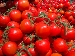 A cluster of ripe red tomatoes with vibrant green stems attached