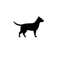 dog and cat with transparent background PNG and JPEG image
