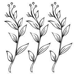 A vector Detailed Vintage Botanical Floral Pattern with Cereal Herbs Wildflowers in Black and White for Wrapping Paper and Textile Design.