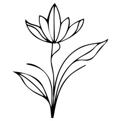 A vector illustration featuring a black elegant sketch of a pastel flowers, perfect for nature themed projects and decor and leaves, set against a white background. 