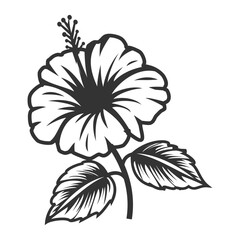 Obraz premium Hibiscus Contour Drawing - Clean and Modern Vector 