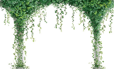 Lush green ivy-covered archway