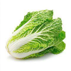 Fresh green napa cabbage with crisp leaves isolated on white