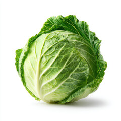 Fototapeta premium Fresh green cabbage with crisp leaves on white background