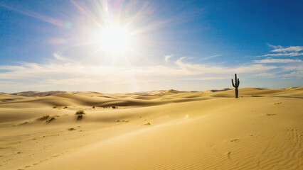 sand dunes in the desert