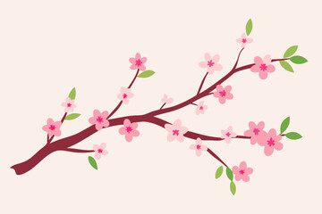 Fototapeta premium delicate watercolor cherry blossom branches springtime