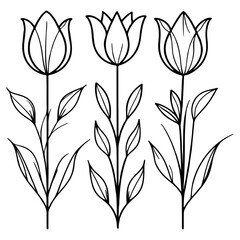 Elegant monochrome tulips vector in monochrome showcasing delicate petals and smooth leaves on a soft gray backdrop perfect for spring-themed designs.