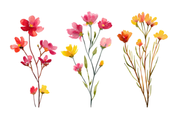 Three stylized floral bouquets in various shades of pink, red, yellow, and orange. Watercolor-like style with outlined details. Bushes of flowers