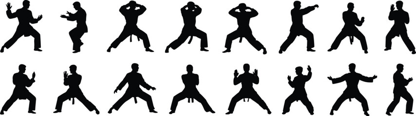 Martial arts silhouette pose collection, sixteen dynamic stances, offensive and defensive techniques, combat training, self defense, vector illustration