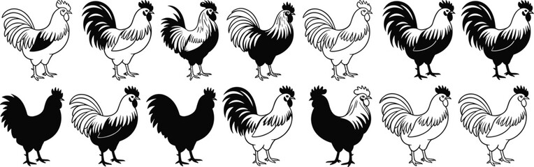 Rooster silhouette and line art pattern, black and white poultry icons, farm animal design, seamless vector graphic, minimalist style