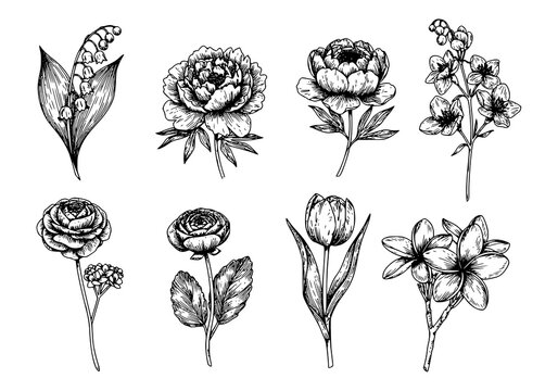 Elegant floral silhouette design featuring botanical sketches for spring and summer themes