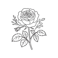 Elegant Rose Flower Line Art Illustration